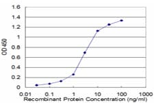 PPP2R2C Antibody (clone 6D1)
