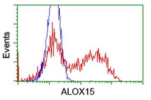 ALOX15 / 15-Lipoxygenase Antibody (clone OTI2G3)
