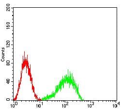 TREM1 Antibody (clone 5F9F7)
