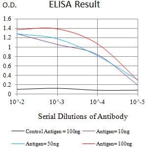 PTPRJ / CD148 Antibody (clone 1D2C11)