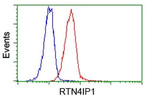 RTN4IP1 / NIMP Antibody (clone OTI3B2)