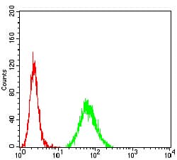 KDM3A / JMJD1A Antibody (clone 2D6H3)