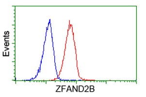ZFAND2B Antibody (clone OTI3A5)