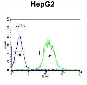 Polyclonal Rabbit anti-Human CLASRP Antibody (aa254-283, WB)