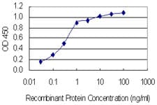 SLC37A4 / G6PT Antibody (clone 7B9)