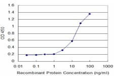 Monoclonal Mouse anti-Human RNF2 / RING2 / RING1B Antibody (clone 4A9, WB)
