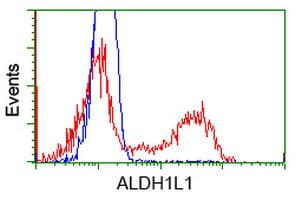 IHC-plus™ ALDH1L1 Antibody (clone 7G8)