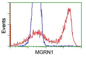 MGRN1 Antibody (clone OTI3A1)