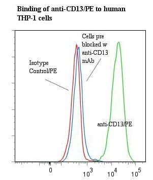 Monoclonal Mouse anti-Human ANPEP / CD13 Antibody (clone 22A5, RPE, IHC)