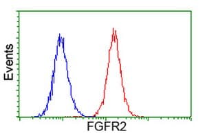 FGFR2 / FGF Receptor 2 Antibody (clone OTI1A11, Carrier-free)