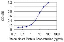 Monoclonal Mouse anti-Human SLC18A1 / VMAT1 Antibody (clone 3A2-E10, WB)