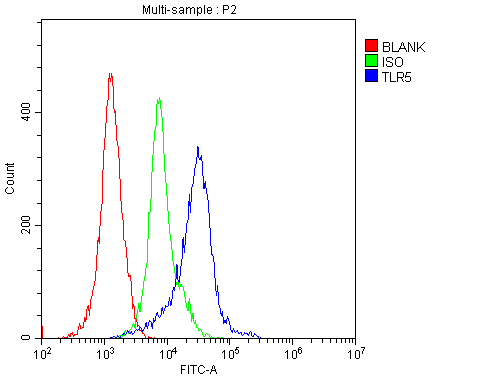 TLR5 Antibody (aa801-828)