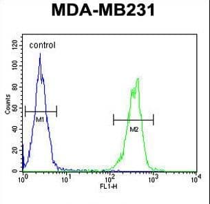 CYP2A7 Antibody (aa121-148)