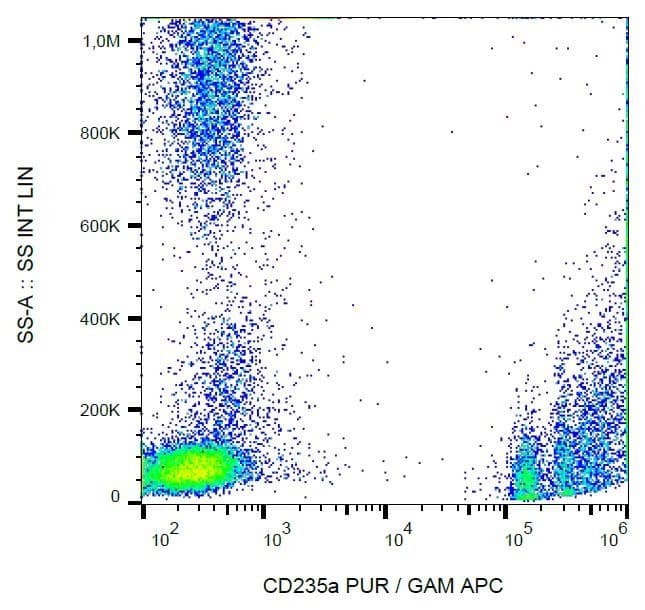 PathPlus™ GYPA / CD235a / Glycophorin A Antibody (aa1-50, clone JC159)