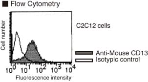 ANPEP / CD13 Antibody (clone 123H1)