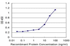 VEGFA / VEGF Antibody (clone 3F7)