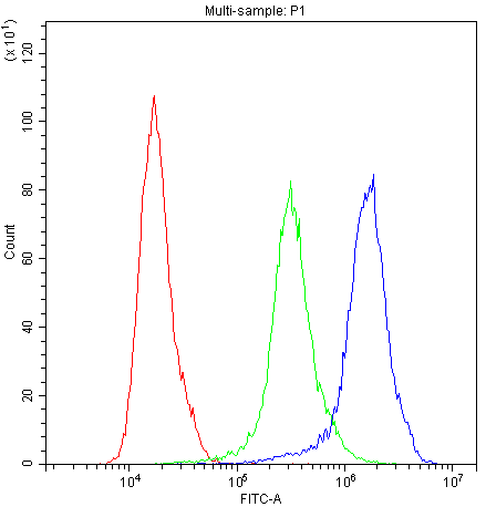 APOA1 / Apolipoprotein A 1 Antibody