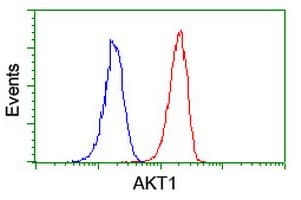 AKT1 Antibody (clone OTI3E3)