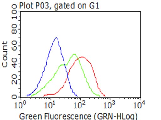 IGF1R / IGF1 Receptor Antibody (aa741-935, clone OTI4C4)