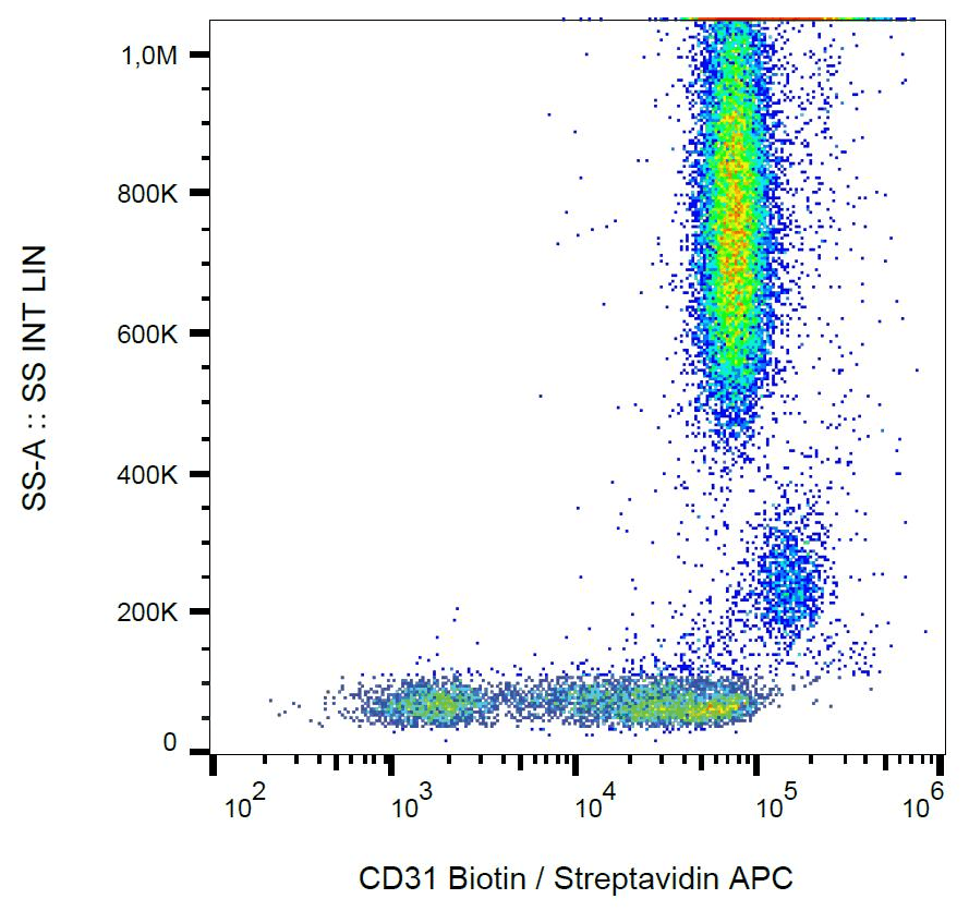 PECAM-1 / CD31 Antibody (clone MEM-05, Biotin)