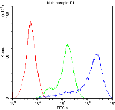Polyclonal Rabbit anti-Human ADA / Adenosine Deaminase Antibody (IHC, WB)