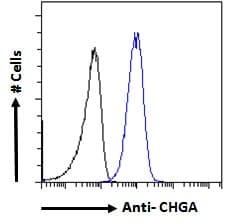 IHC-plus™ Polyclonal Goat anti-Human CHGA / Chromogranin A Antibody (aa85-97, IHC, WB)