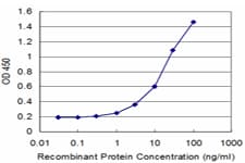 CRY2 Antibody (clone 3H4)