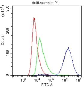 Basigin / Emmprin / CD147 Antibody
