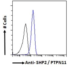 IHC-plus™ Polyclonal Goat anti-Human PTPN11 / SHP-2 / NS1 Antibody (aa584-597, IHC, IF, WB)