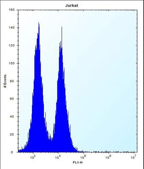 ICOS / CD278 Antibody (aa156-185)