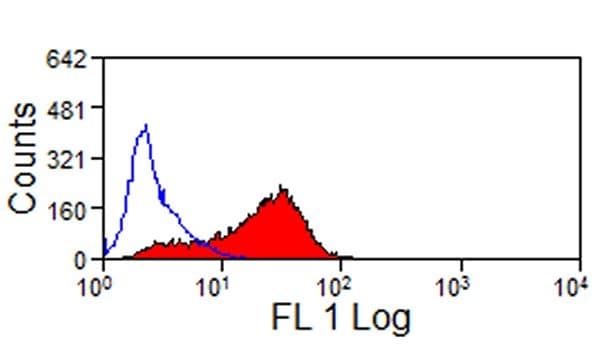 JAM3 Antibody (clone CRAM-19 H36, FITC)