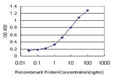 NEK4 Antibody (clone 1B8)