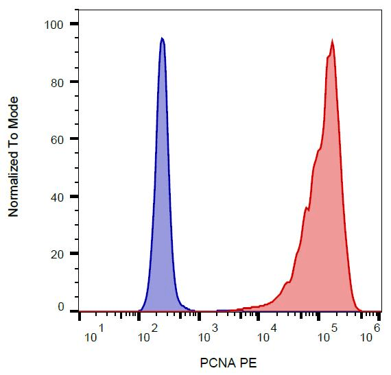 PCNA Antibody (clone PC10, PE)