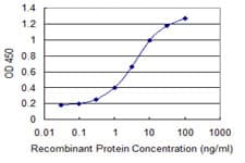 IL24 Antibody (clone 2B5)