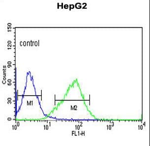 OR2H3 / OR2H2 Antibody (aa276-302)