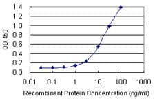 Monoclonal Mouse anti-Human POLR2F Antibody (clone 2G2, IF, WB)