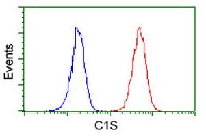Complement C1s Antibody (clone OTI5F2)