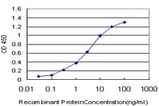 TAF11 Antibody (clone 3D3)