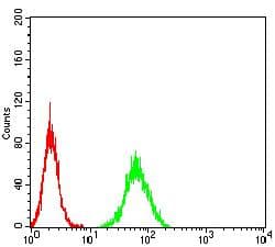 PGRMC1 / MPR Antibody (clone 6F9A1)