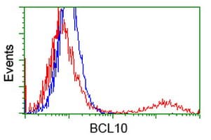 BCL10 / BCL-10 Antibody (clone OTI6A4)
