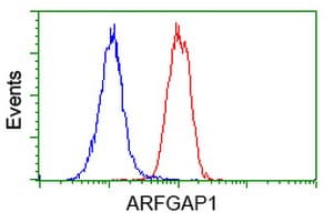 Monoclonal Mouse anti-Human ARFGAP1 Antibody (clone OTI1F6, IHC, IF, WB)