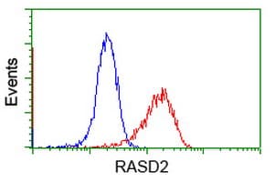 RASD2 Antibody (clone OTI1D11, Carrier-free)