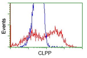 CLPP Antibody (clone OTI1D8)