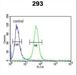 IHC-plus™ TARSL2 Antibody (aa638-665)