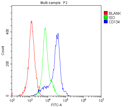Polyclonal Rabbit anti-Human TNFRSF4 / CD134 / OX40 Antibody (aa232-254, IHC, WB)
