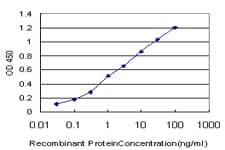 GC1qR / C1QBP Antibody (clone 1F3)