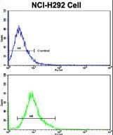 IHC-plus™ ELF4 / MEF Antibody (aa211-237)