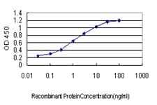 AKAP10 Antibody (clone 8C10)
