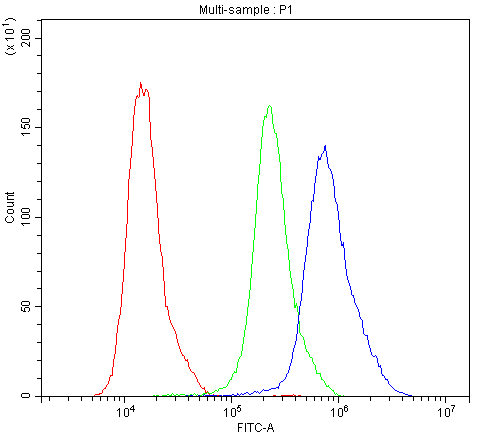 CALB1 / Calbindin Antibody (aa2-175)