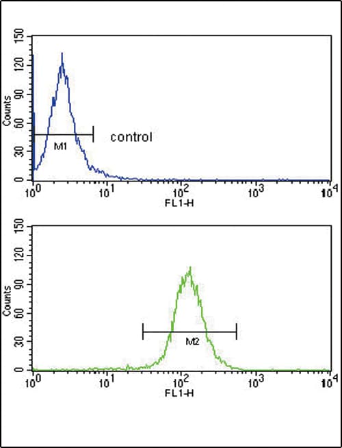 ABCG1 Antibody (aa359-387)